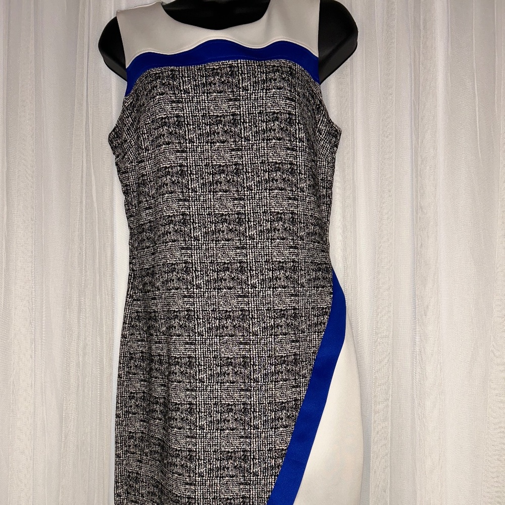 Sleeveless Professional Dress